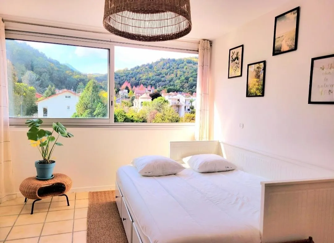 F2 Lumineux Avec Vue- Puy-De-Dome A 10 Min - Parking Gratuit Apartment Royat France